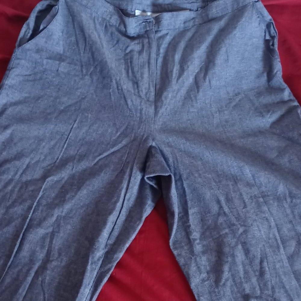 Samantha Grey Women Slacks (Blue)